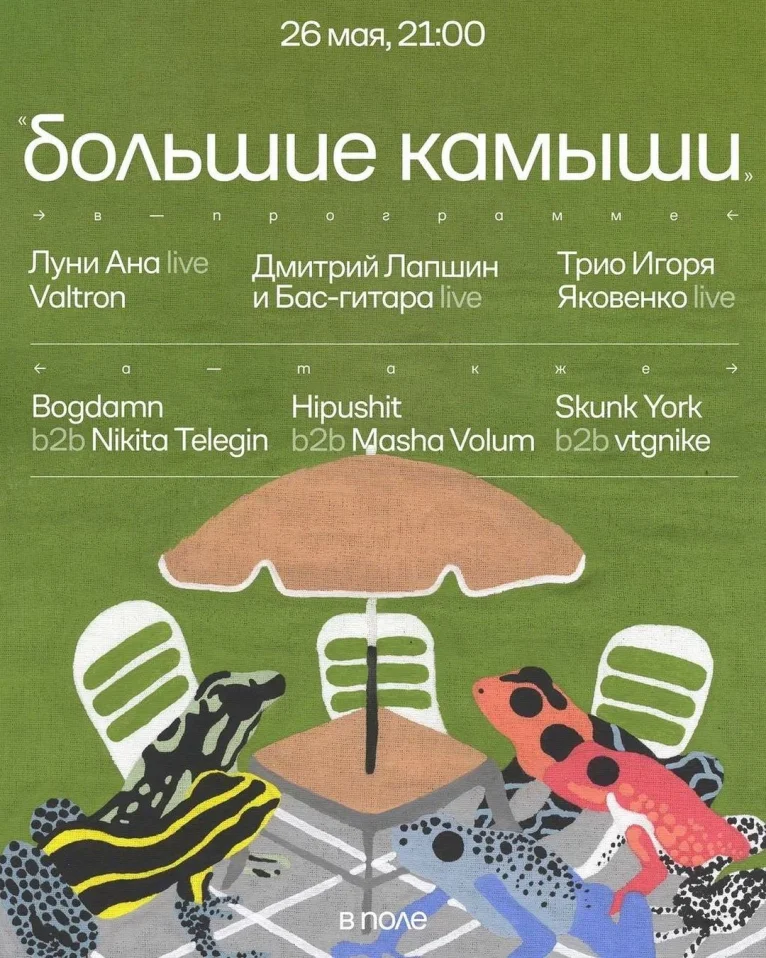 Большие Камыши