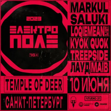 ЭЛЕКТРОПОЛЕ 