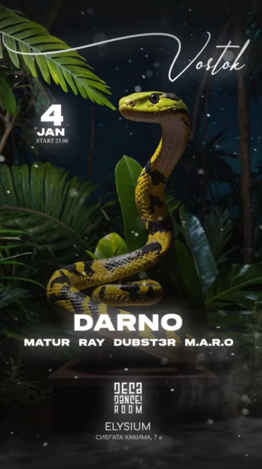 DARNO & MATUR