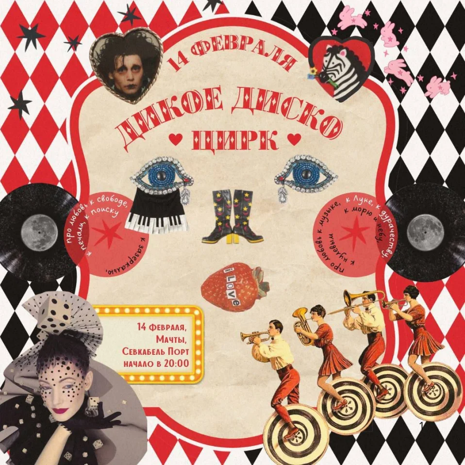 Дикое диско