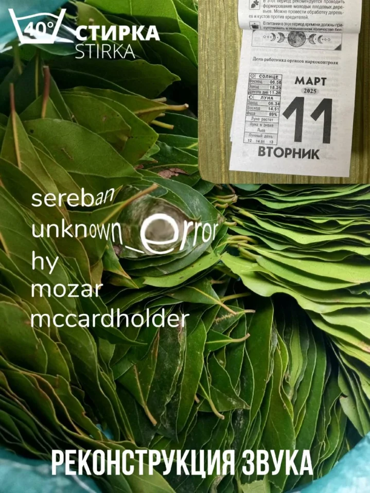 Реконструкция Звука