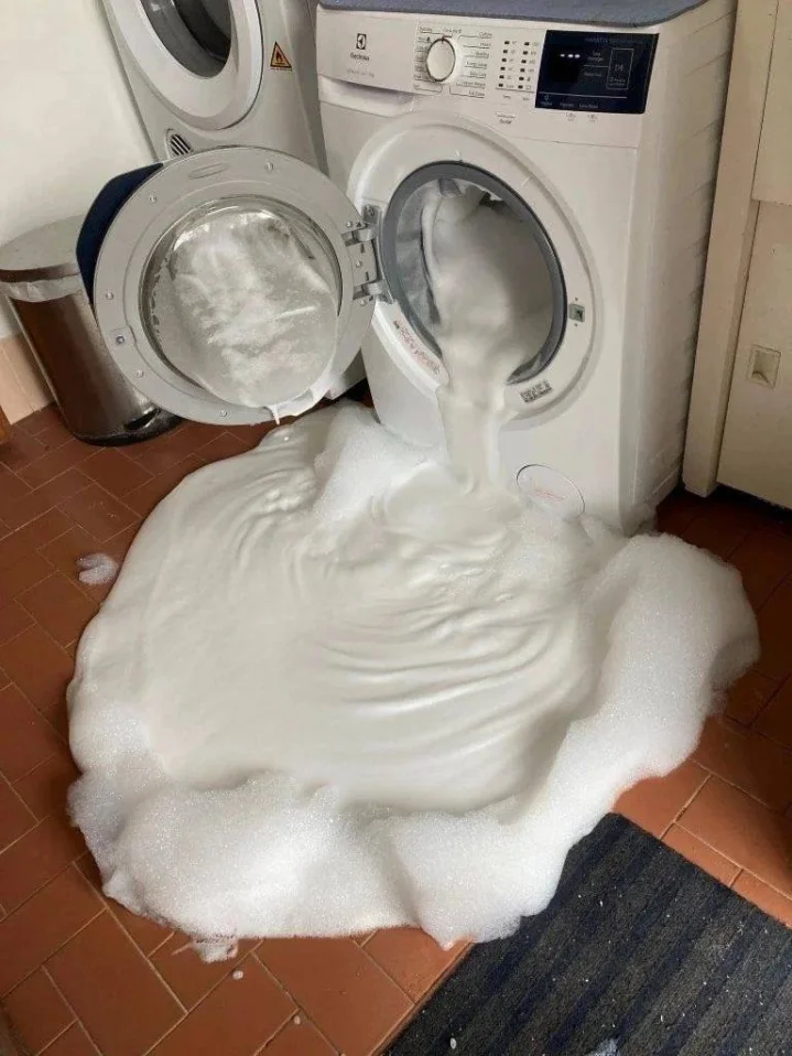 Spider Mold’s B-Day