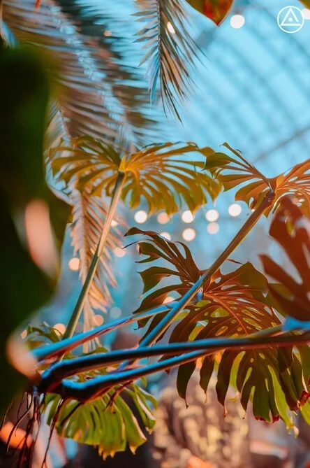 АБСТРАСЕНЦИЯ pres. Космический эмбиент