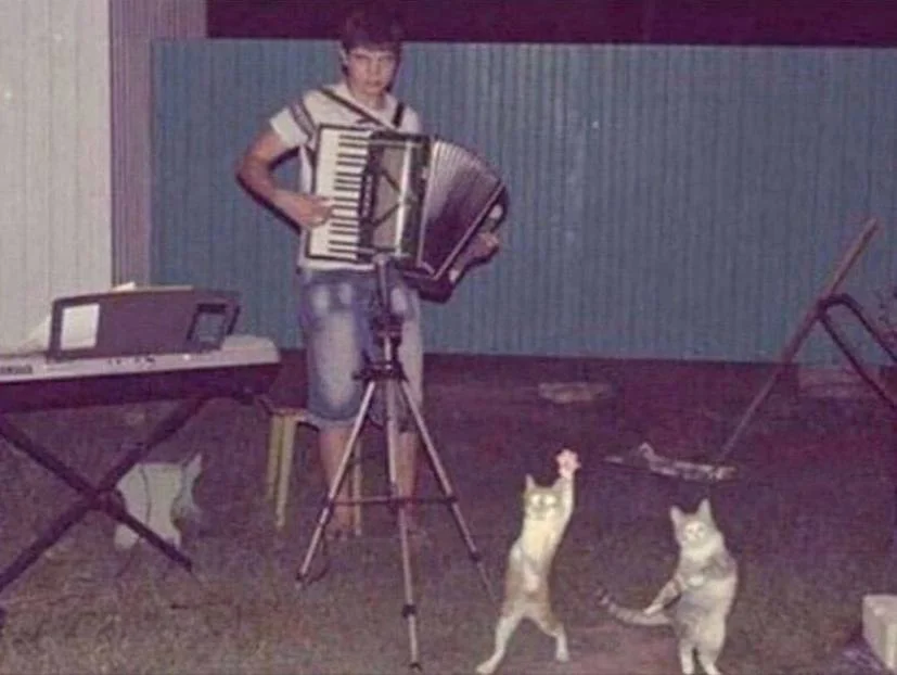 KupChino Moreno | Mister T