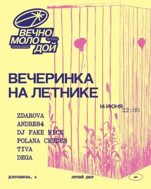 ВЕЧЕРИНКА НА ЛЕТНИКЕ