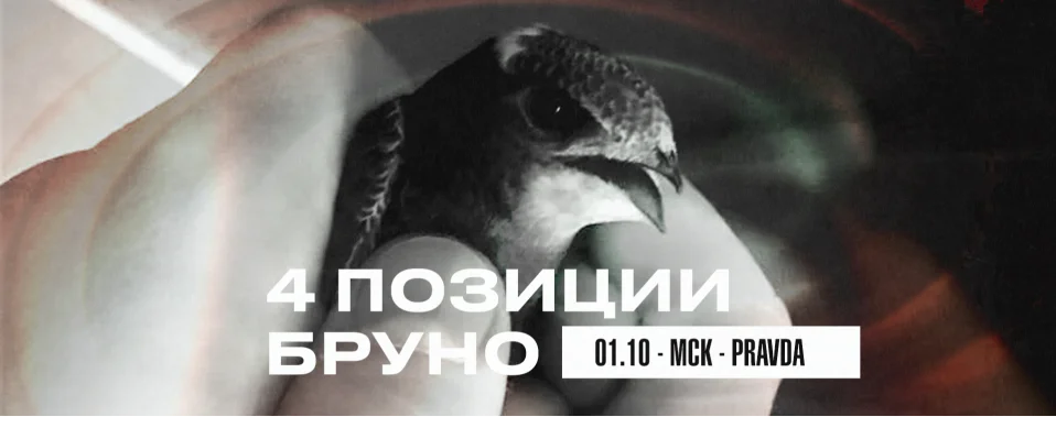 4 ПОЗИЦИИ БРУНО