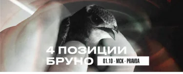 4 ПОЗИЦИИ БРУНО