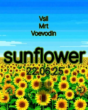 Sunflower