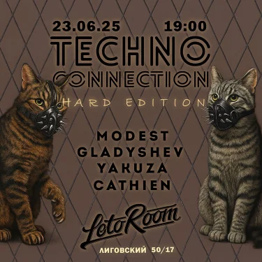 Techno connection