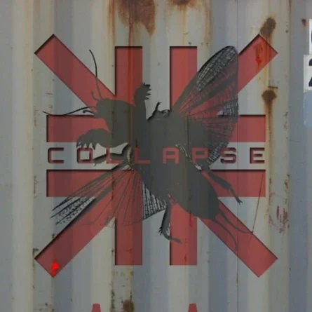 COLLAPSE 2.5