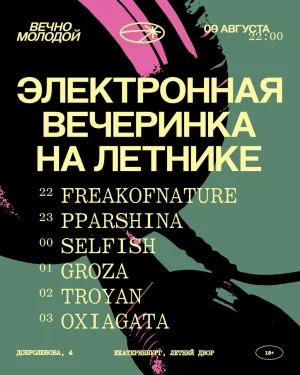 ЭЛЕКТРОННАЯ ВЕЧЕРИНКА НА ЛЕТНИКЕ