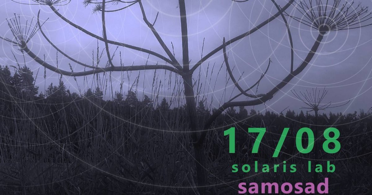 17.08.2025 — SAMOSAD BEND @ Solaris lab. (Санкт-Петербург)