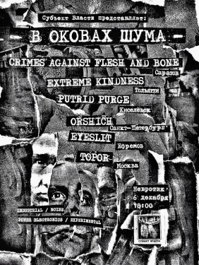 В оковах шума
