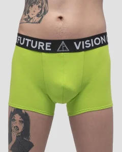 Трусы - боксеры Брифс / Briefs / зеленые мужские, цвет зеленый, размер 42