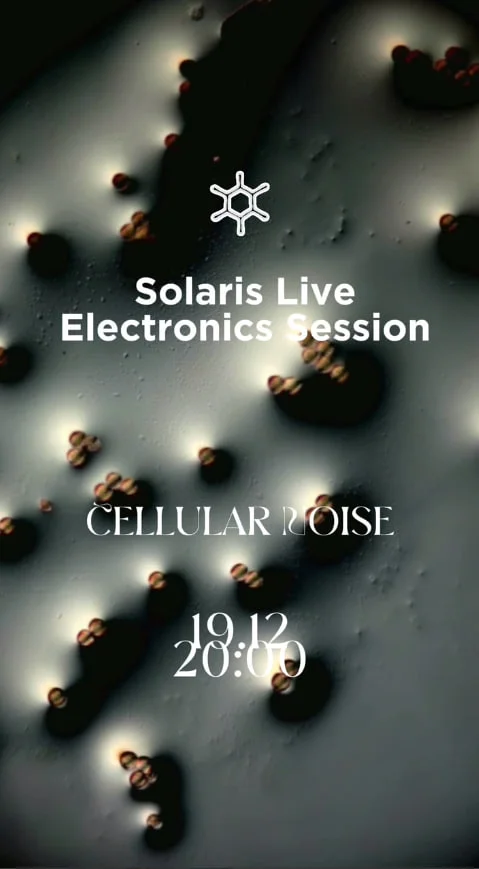 Cellular Noise