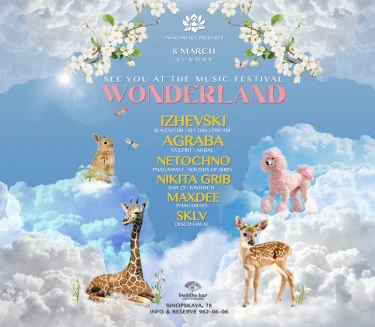 Festival Wonderland