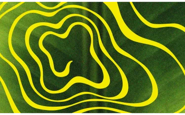 Rootone 