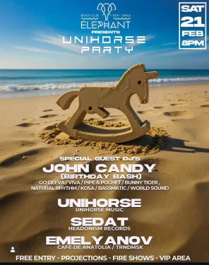 Unihorse party