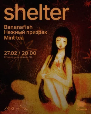 Shelter