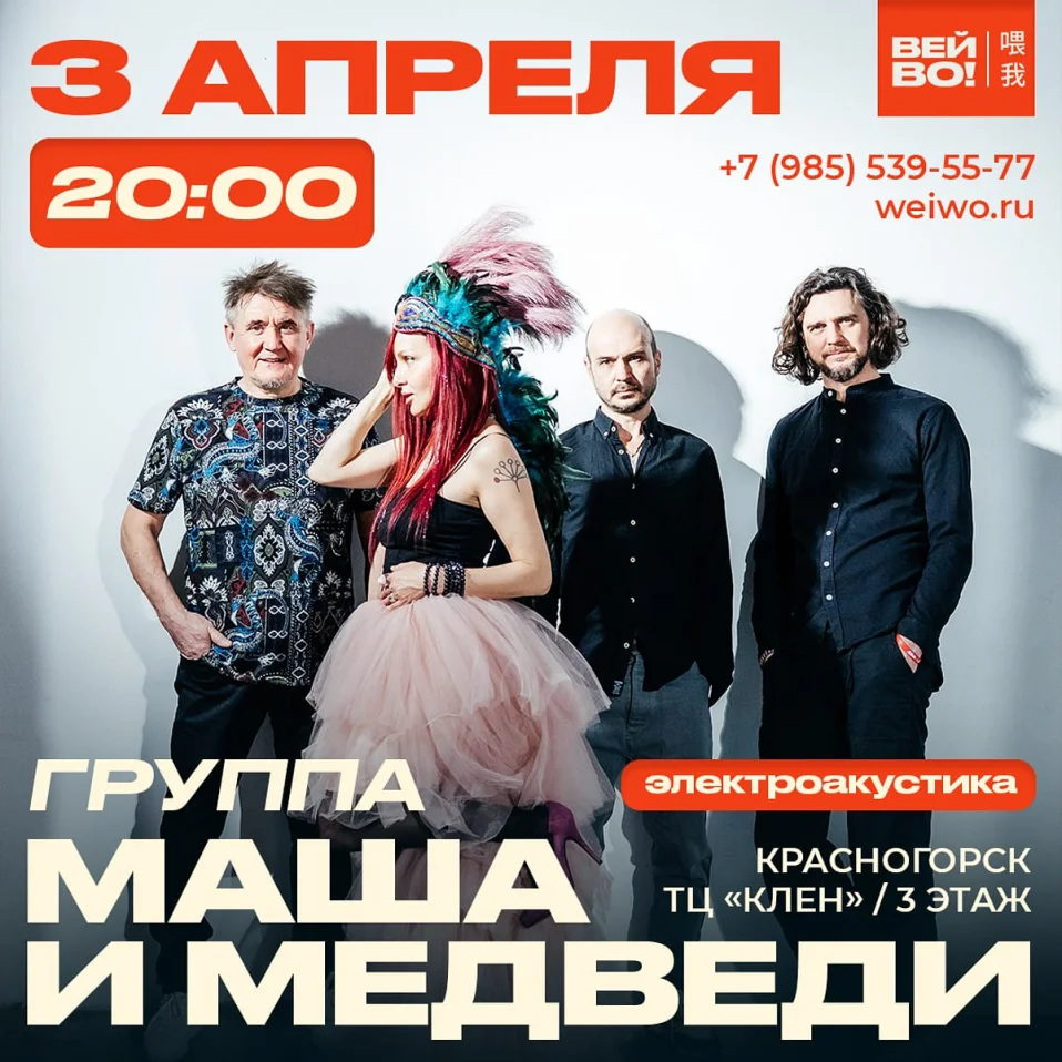 группа МАША И МЕДВЕДИ. ЭЛЕКТРОАКУСТИКА
