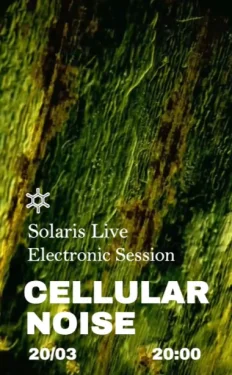 Cellular Noise