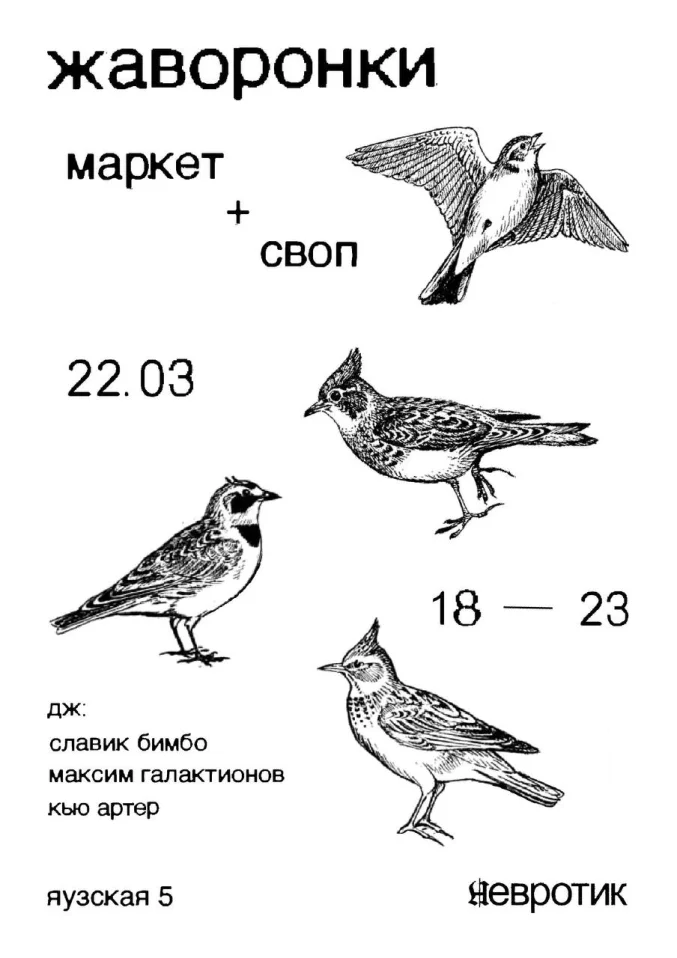  ЖАВОРОНКИ
