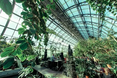 АБСТРАСЕНЦИЯ poster