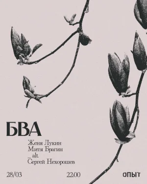 БВА