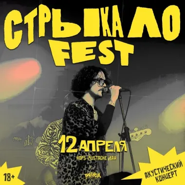 Стрыкало Fest  poster