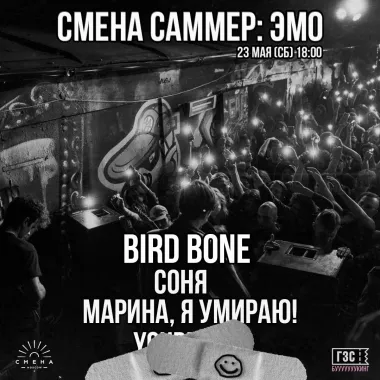 Смена Саммер: ЭМО poster