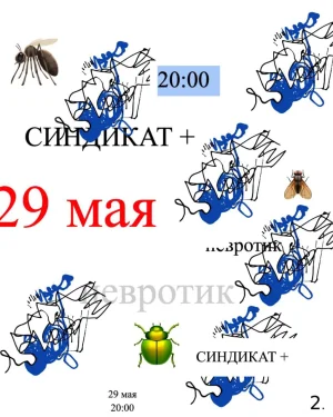 СИНДИКАТ +
