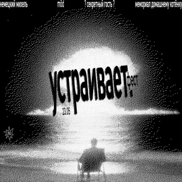 Устраивает фест 