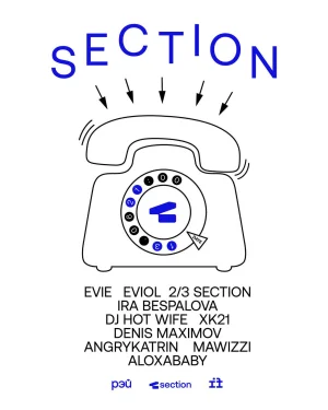 SECTION