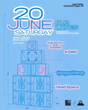 DUB LINES poster