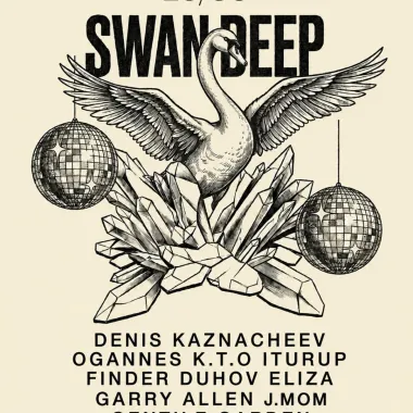 DEEP SWAN poster