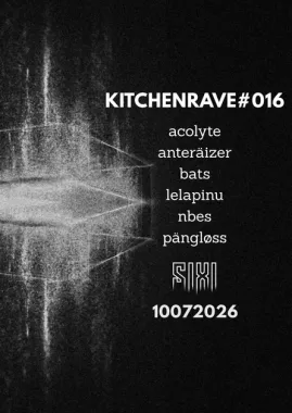 Kitchen Rave #016 poster