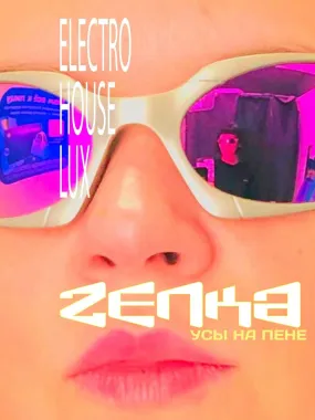 ZENKA  poster
