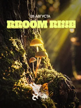 RROOM RISE poster