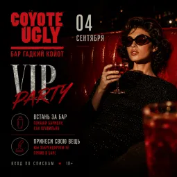  VIP party