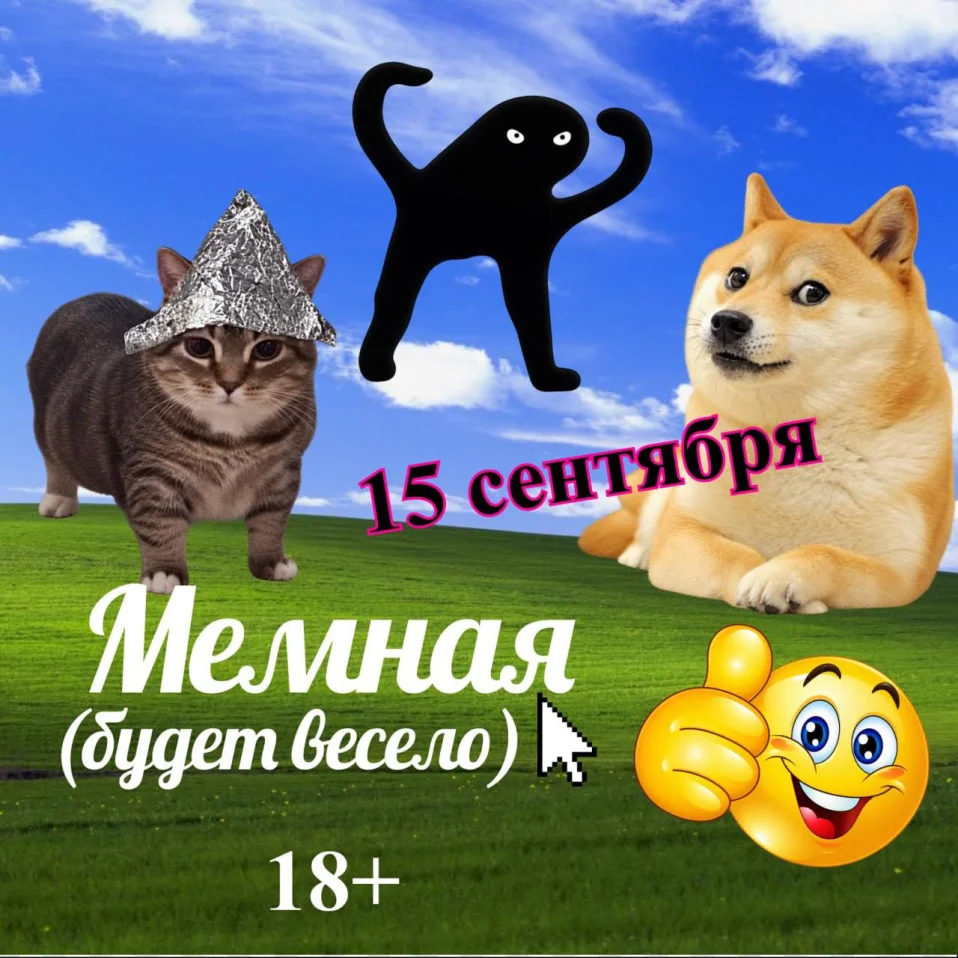 Мемная вечеринка