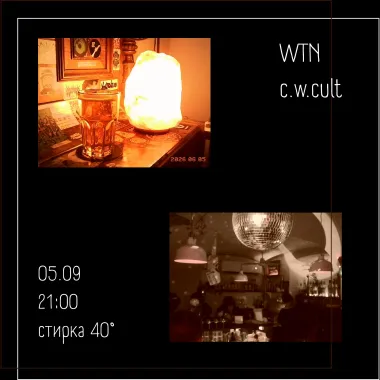 WTN & c.w. cult poster