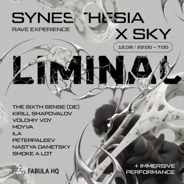 SYNESTHESIA X SKY poster