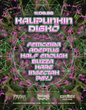 KAUPUNKIN DISCÖ