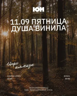 ДУША ВИНИЛА  poster
