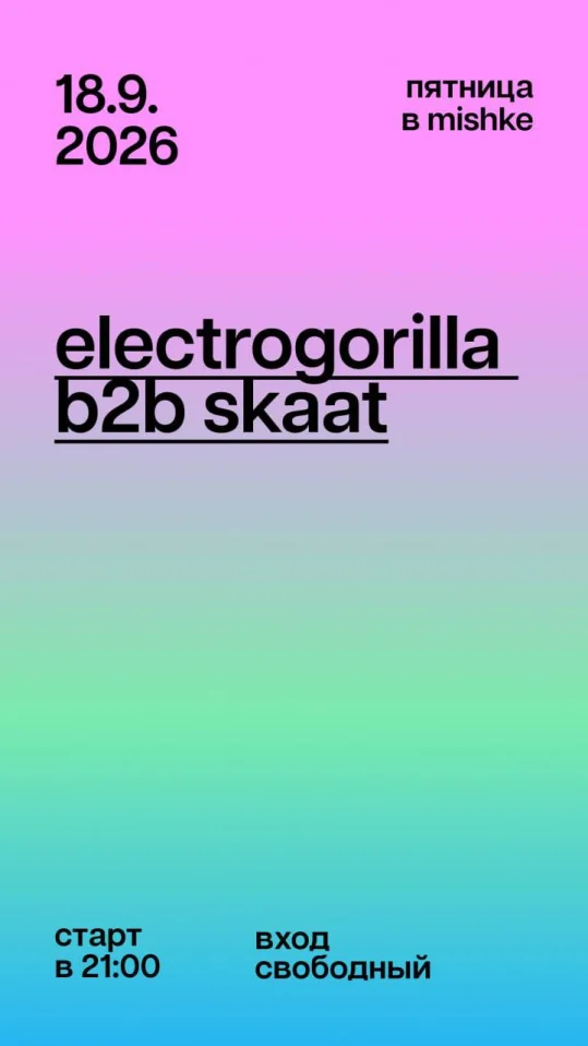 Electrogorilla b2b Skaat