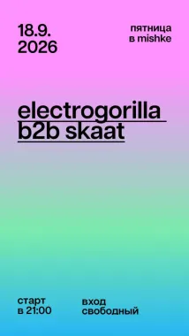 Electrogorilla b2b Skaat poster