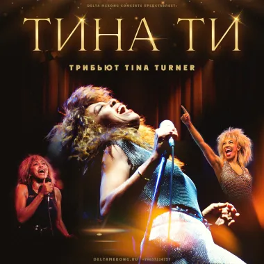 ТИНА ТИ poster