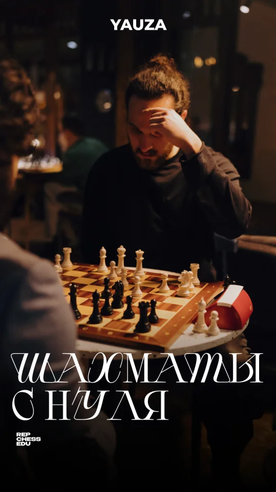 шахматы для начинающих
