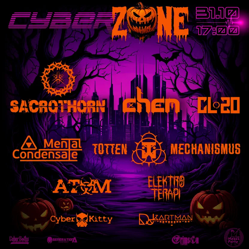 Cyber Zone