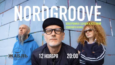 Nordgroove poster